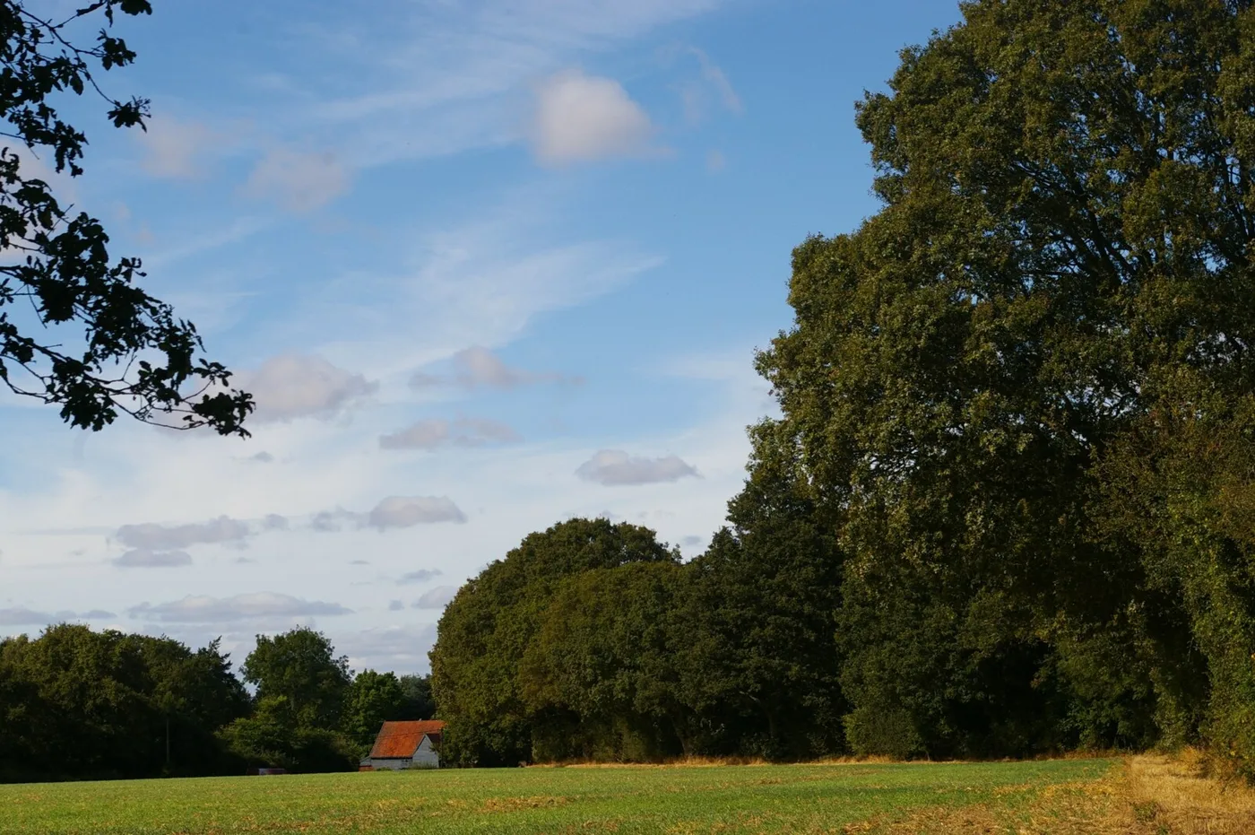 Farmland north of Waldringfield Road, Martlesham. The picture does not show any of the submitted sites