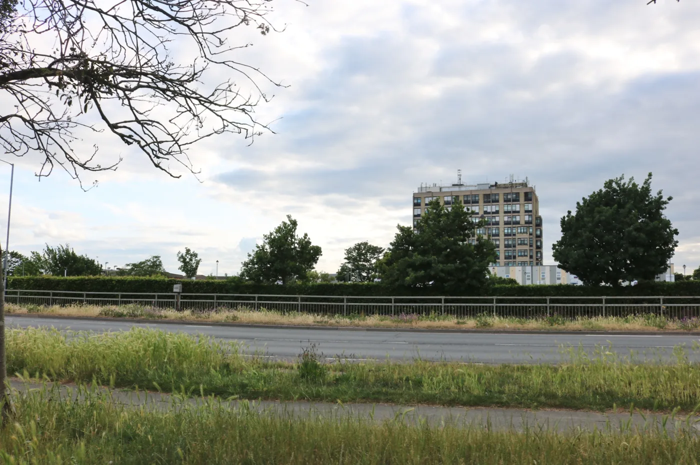 Ipswich Hospital's main tower seen from Heath Road, photographed in 2025. The trust has not said where the records were viewed.